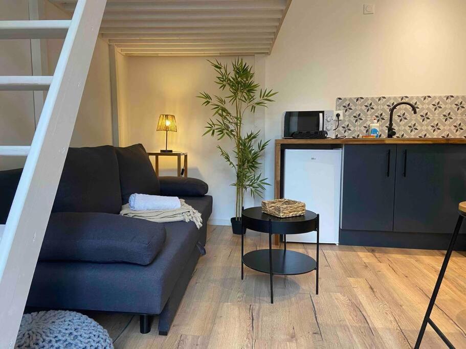 Charmant Studio Vierzon Buitenkant foto